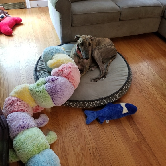 Meet your Posher, Dana - Picture 4 of 10